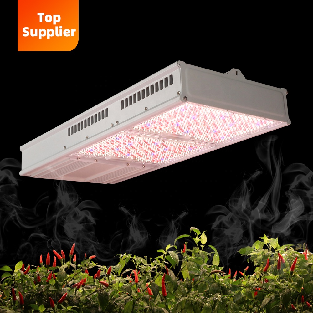 Grow Light Led - Lampe de culture LED intérieure économique