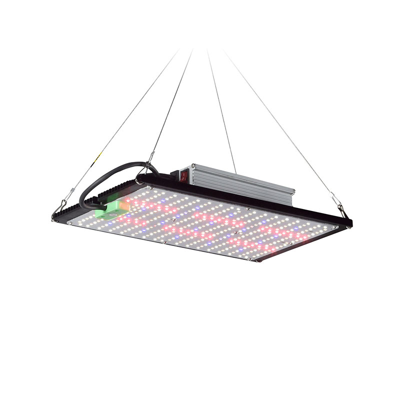 Grow Light Led - Lampe de culture LED Quantum-Board à