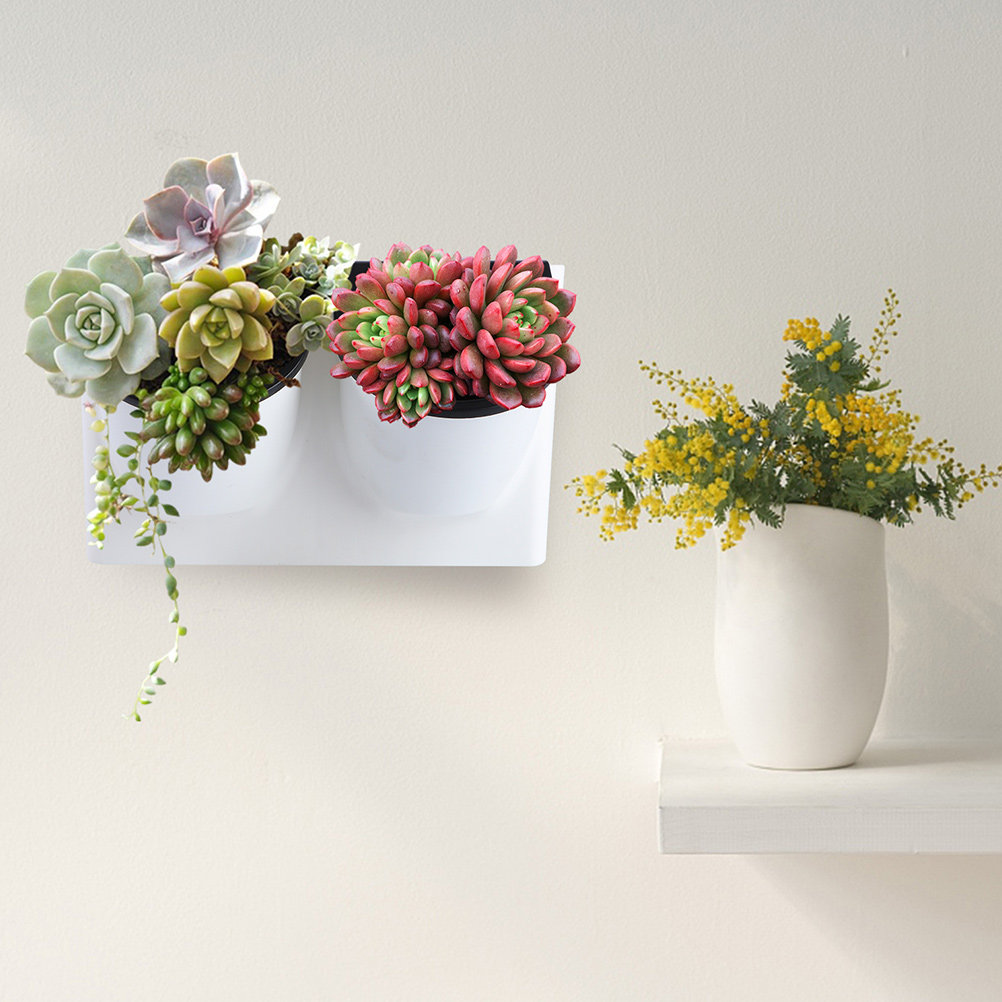 Self Watering Planter - Pot de fleurs auto-arrosant en plastique
