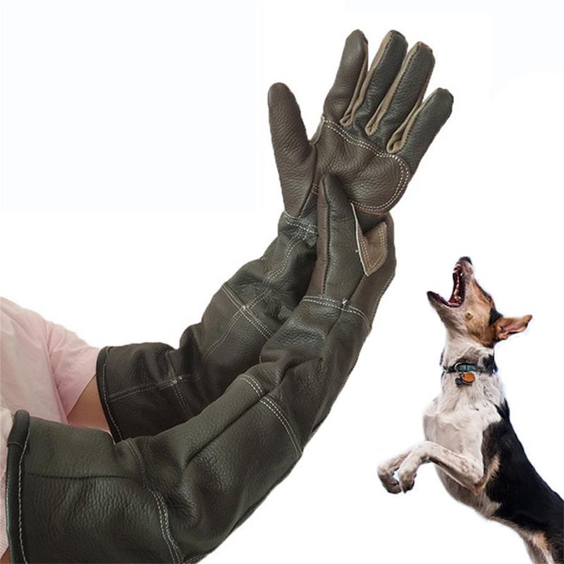 Garden Gloves - Gants pour animaux de compagnie en