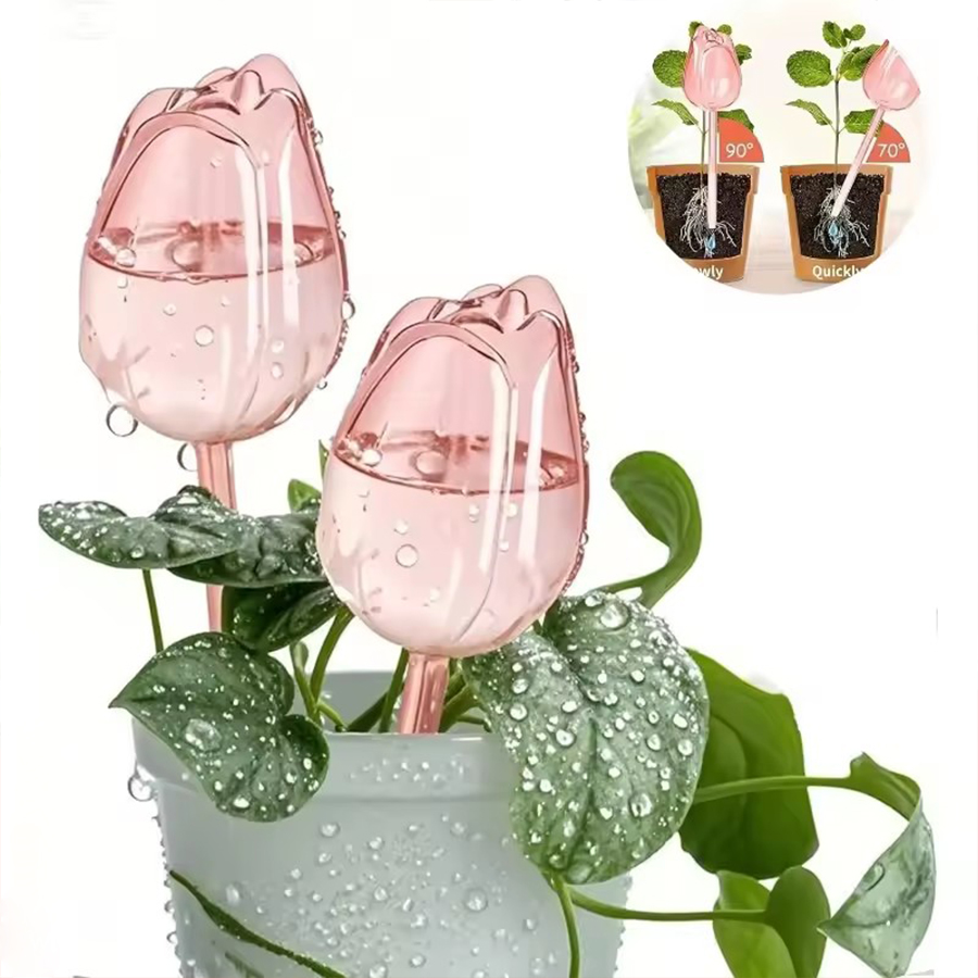 Self Watering Planter - Pique d'arrosage transparente en PET épais