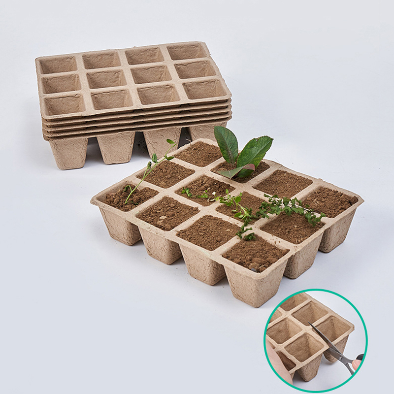 Seed Starter Tray - Pépinière bionickel able pour plantes à