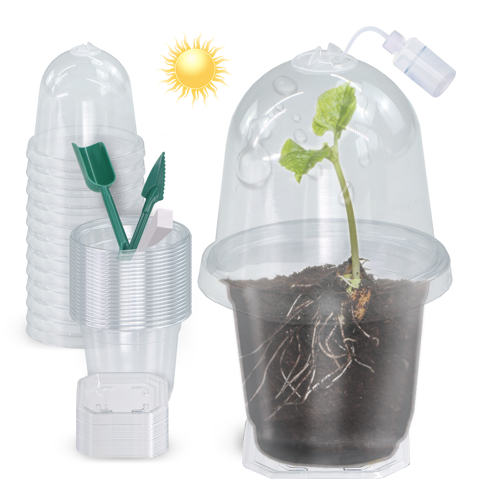 Seed Starter Tray - 160x90CM Visible Clear Plants Germination Cup
