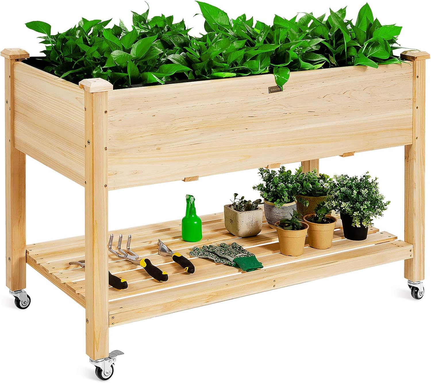 Raised Garden Bed - Bac à légumes surélevé en bois