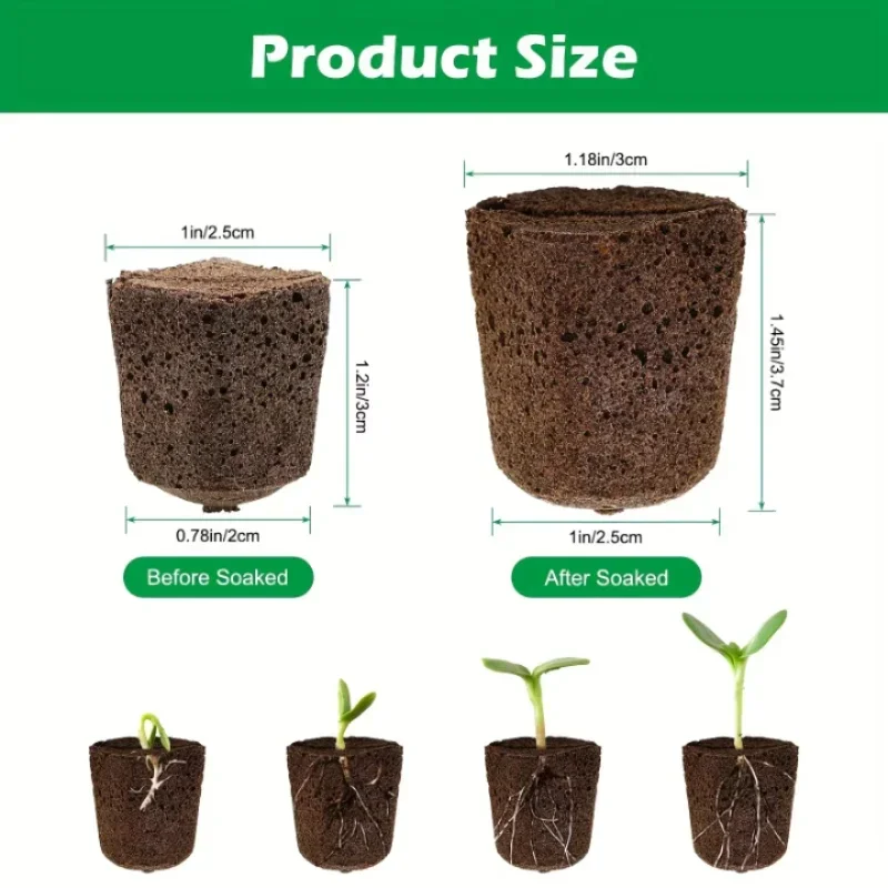 Hydroponic Kit - Kit de démarrage de semis en