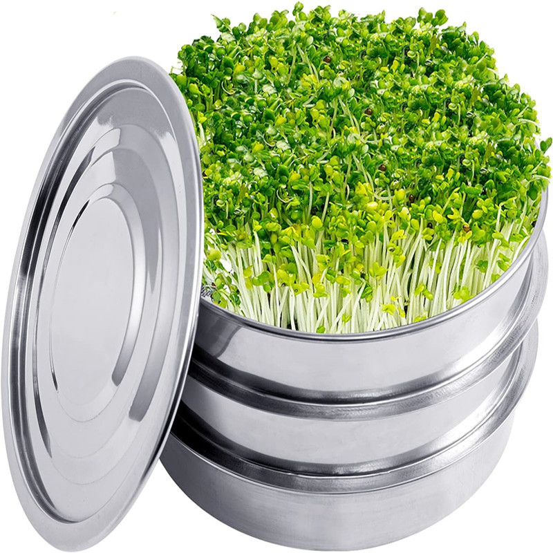 Hydroponic Kit - Kit de Germination des plantes en