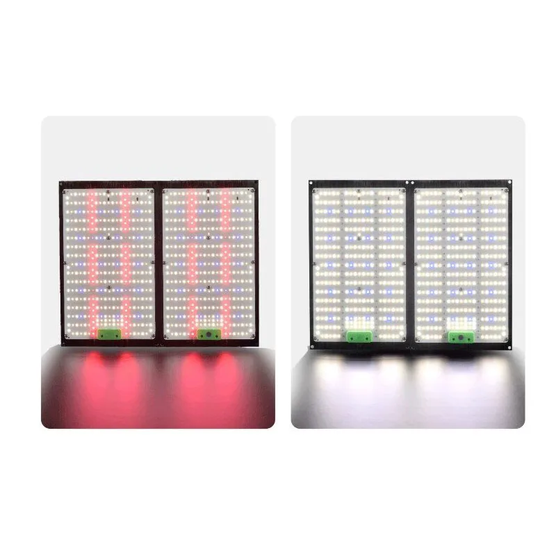 Grow Light Led - Lampe de culture LED Quantum-Board à