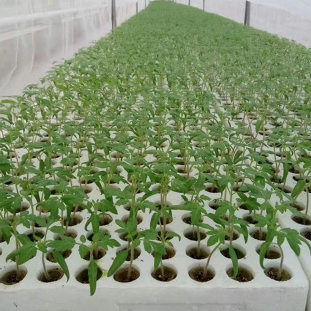 40 pièces, cubes de laine pour - Hydroponic Kit avis et prix