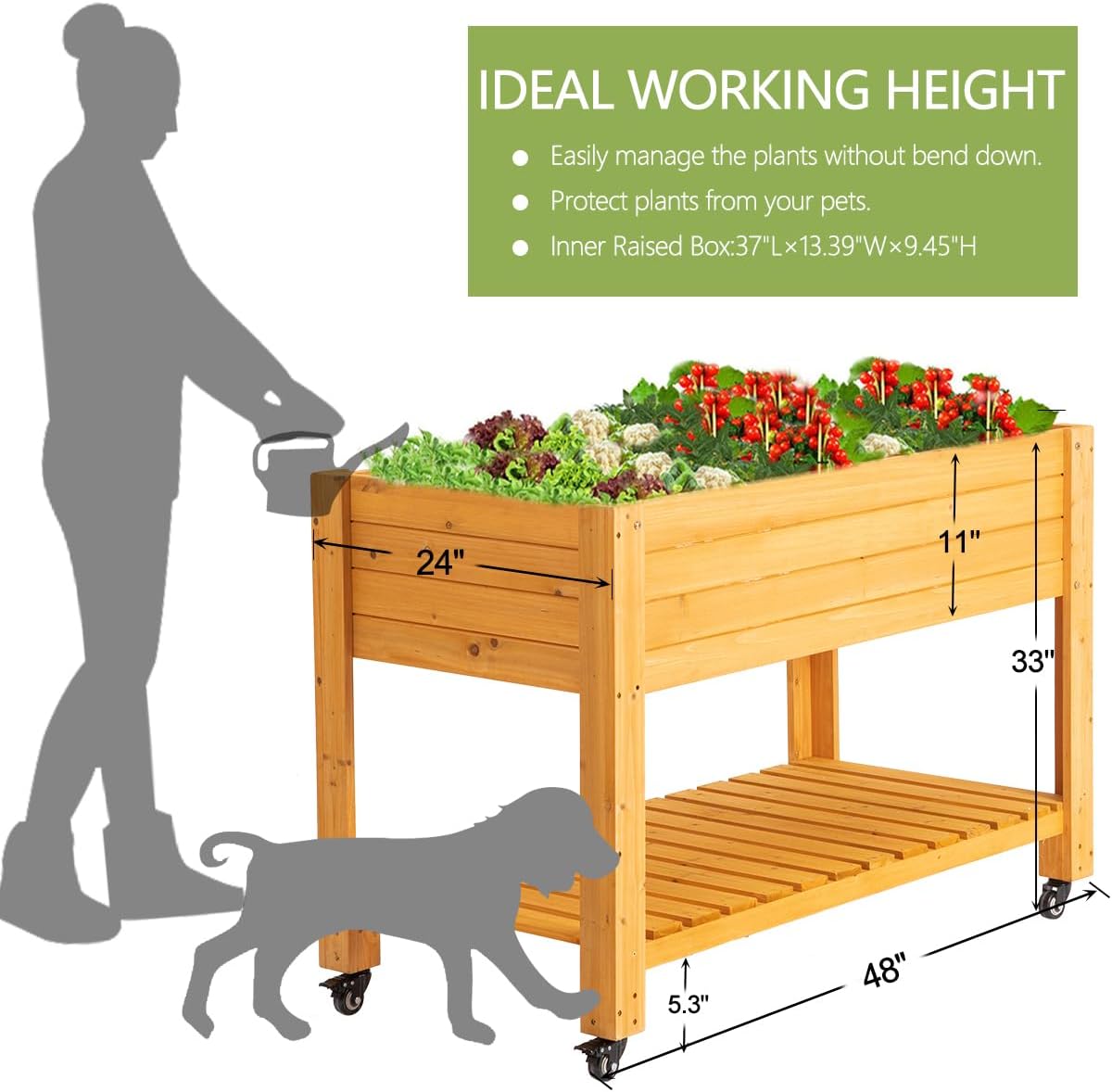 Jardinière surélevée mobile en - Raised Garden Bed avis et prix