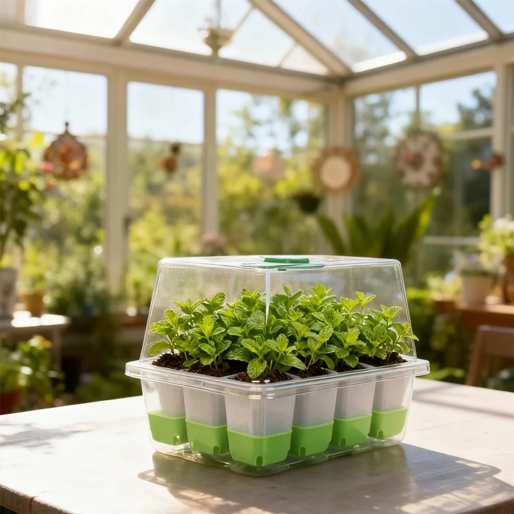 Plateau de semis à 12 alvéoles - Seed Starter Tray avis et prix