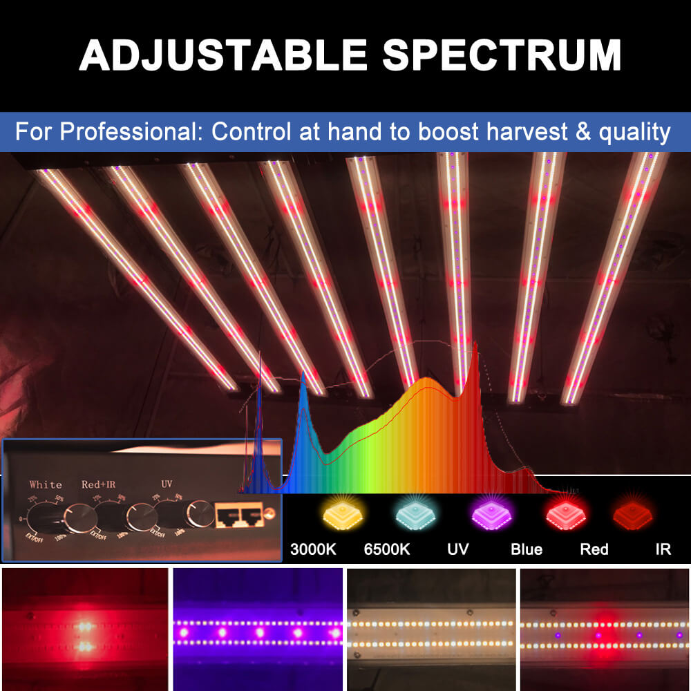 Lampes de culture LED US Stock - Grow Light Led avis et prix