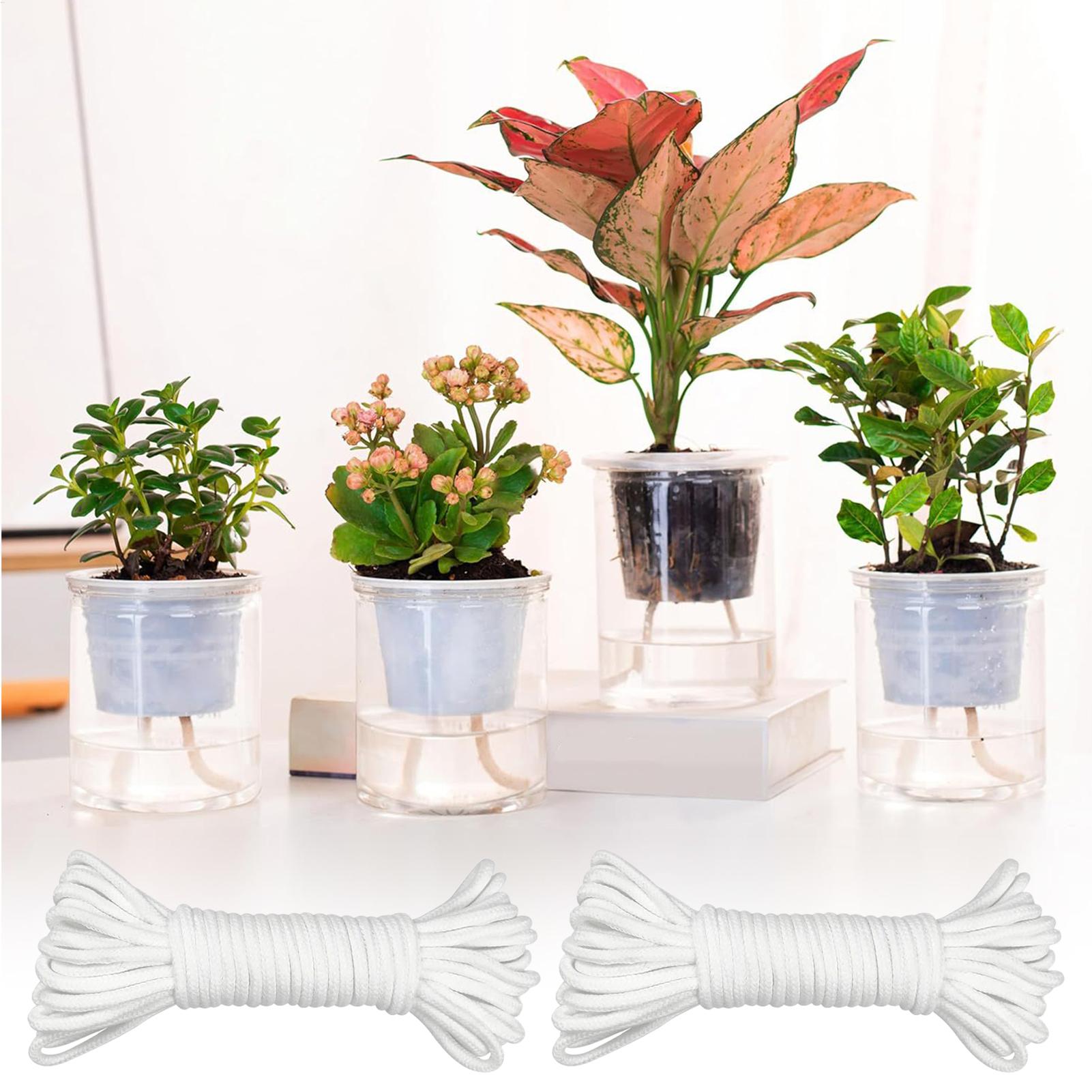 Mèches d'arrosage automatique  - Self Watering Planter avis et prix