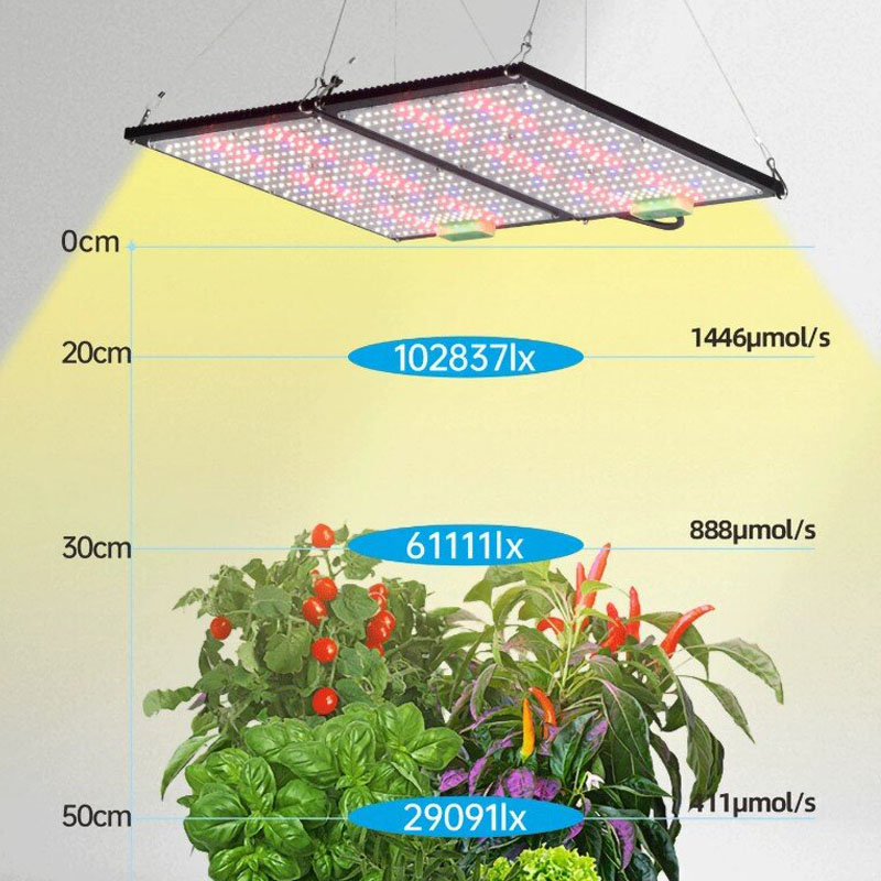 Lampe de culture LED Quantum-B - Grow Light Led avis et prix