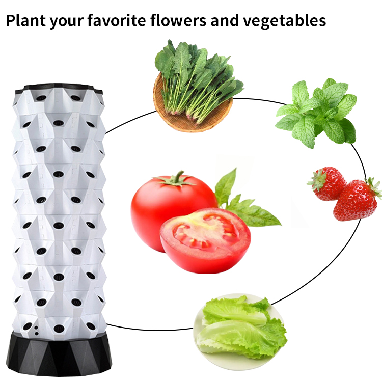 Kit d'hydroponie pour ferme in - Hydroponic Kit avis et prix