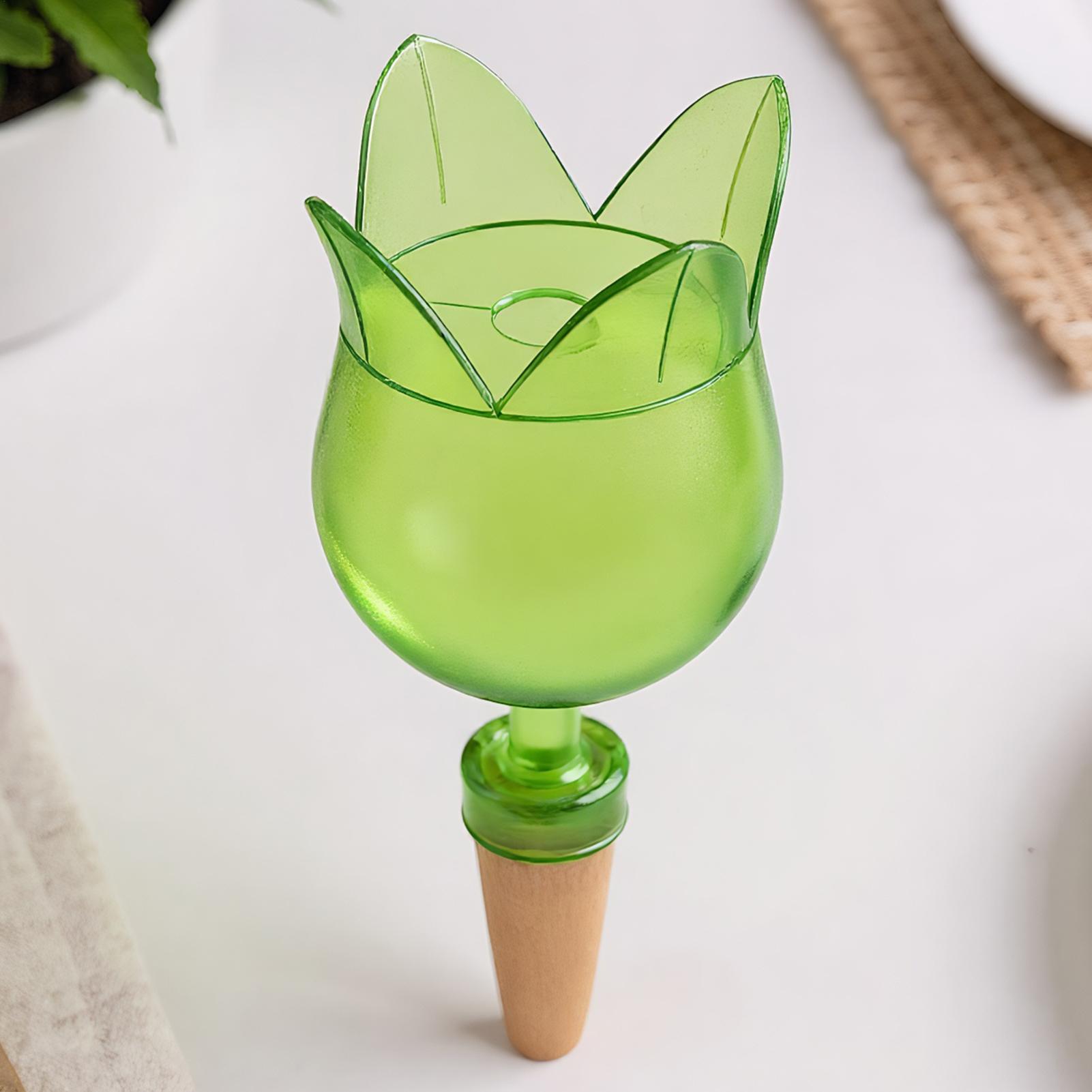 Dispositifs d'arrosage automat - Self Watering Planter avis et prix