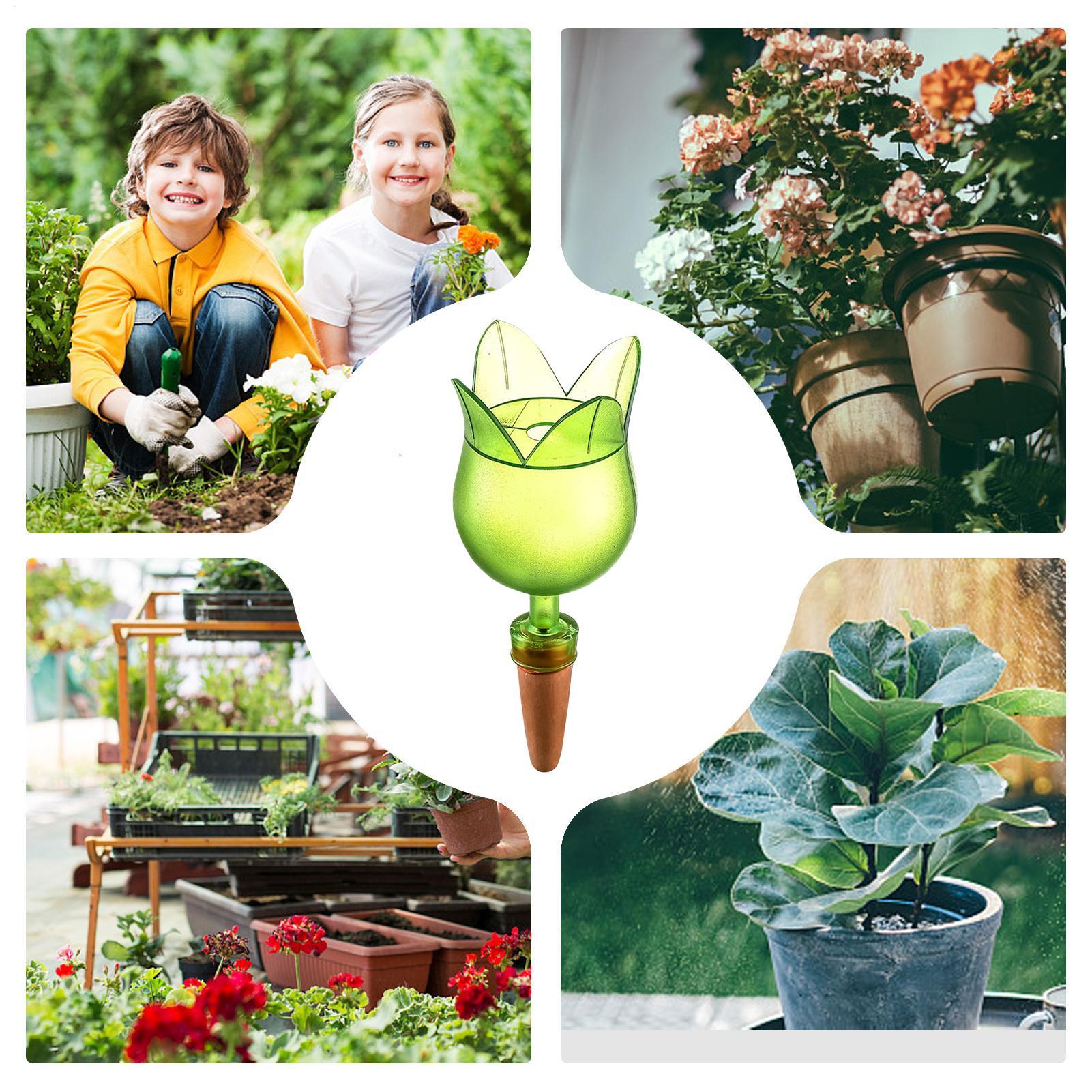 Dispositifs d'arrosage automat - Self Watering Planter avis et prix