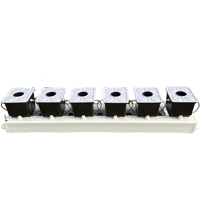Système hydroponique en seau h - Hydroponic Kit avis et prix