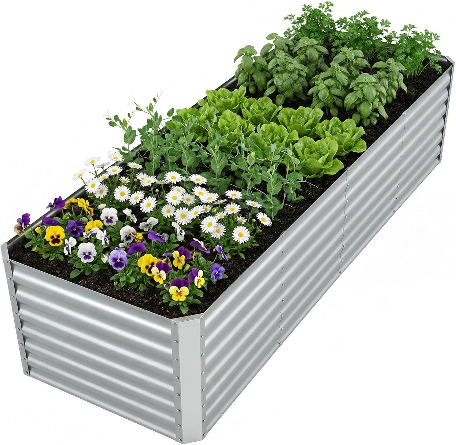 Bac de jardin surélevé galvani - Raised Garden Bed avis et prix