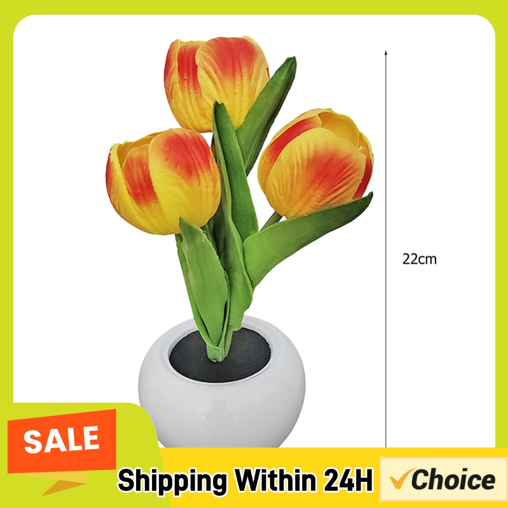 Lampe de table en forme de pla - Plant Pot avis et prix