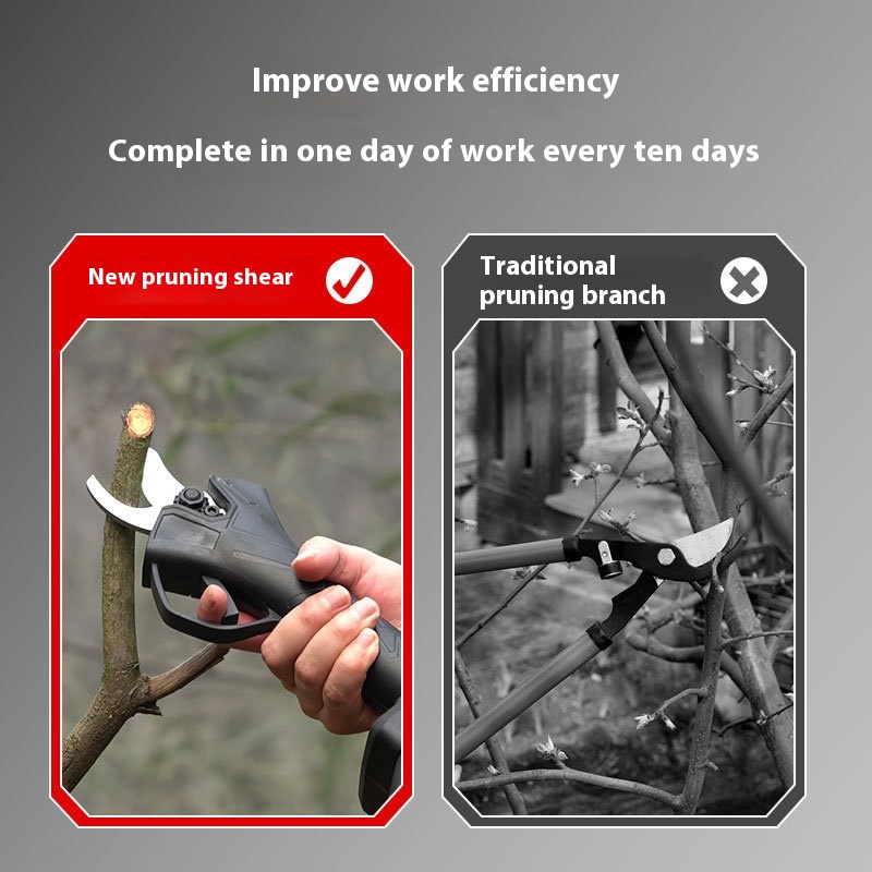 Ciseaux électriques portables  - Pruning Shears avis et prix