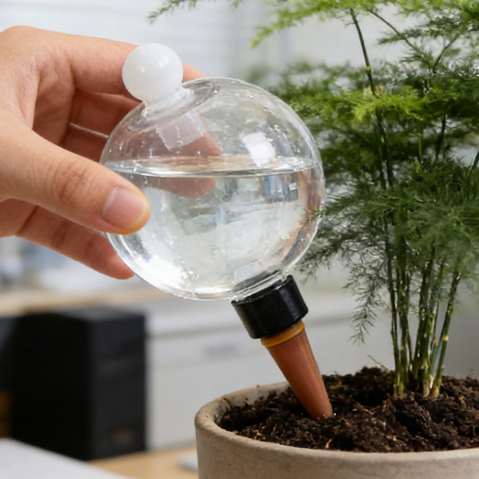 Bulbes d'arrosage automatiques - Self Watering Planter avis et prix