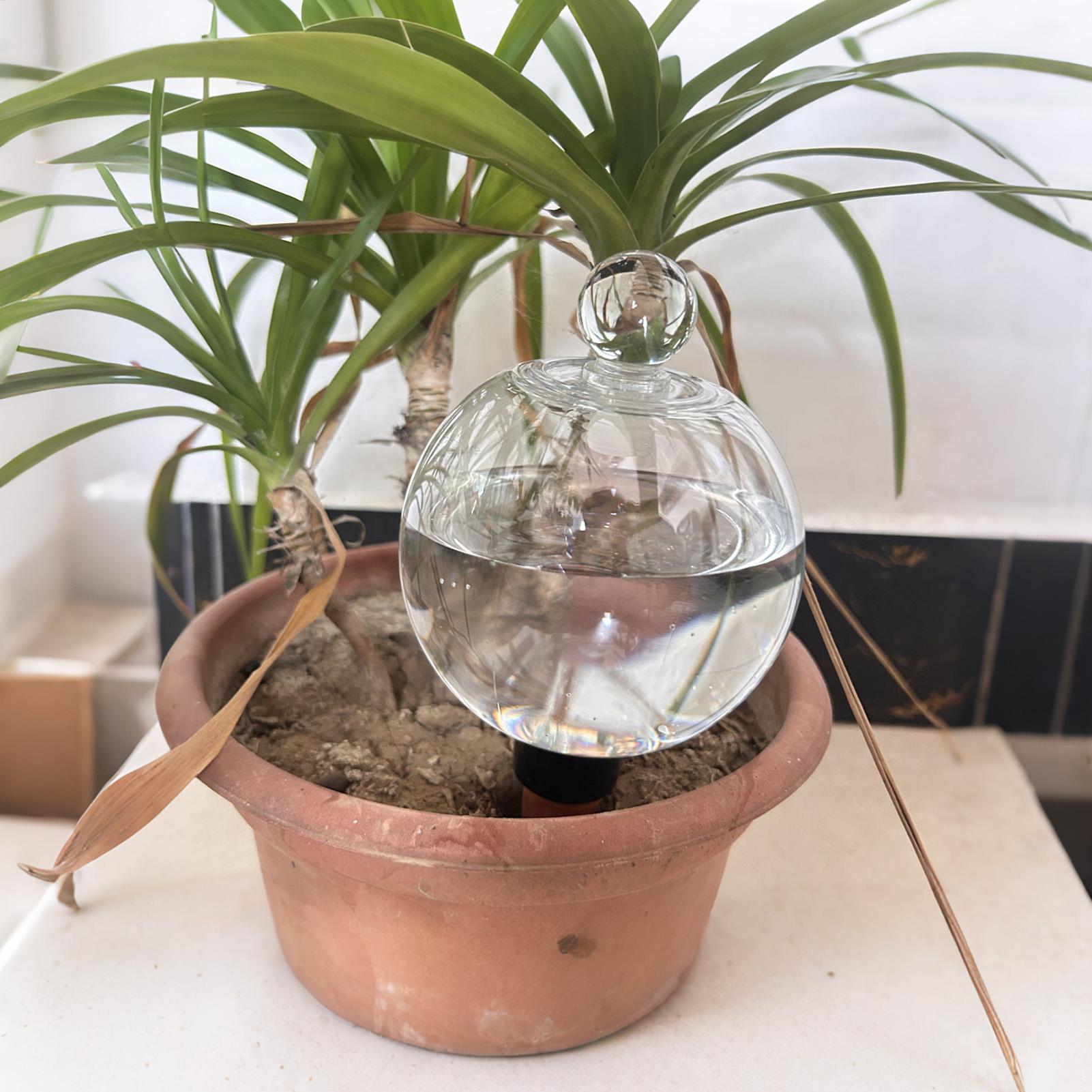 Bulbes d'arrosage automatiques - Self Watering Planter avis et prix