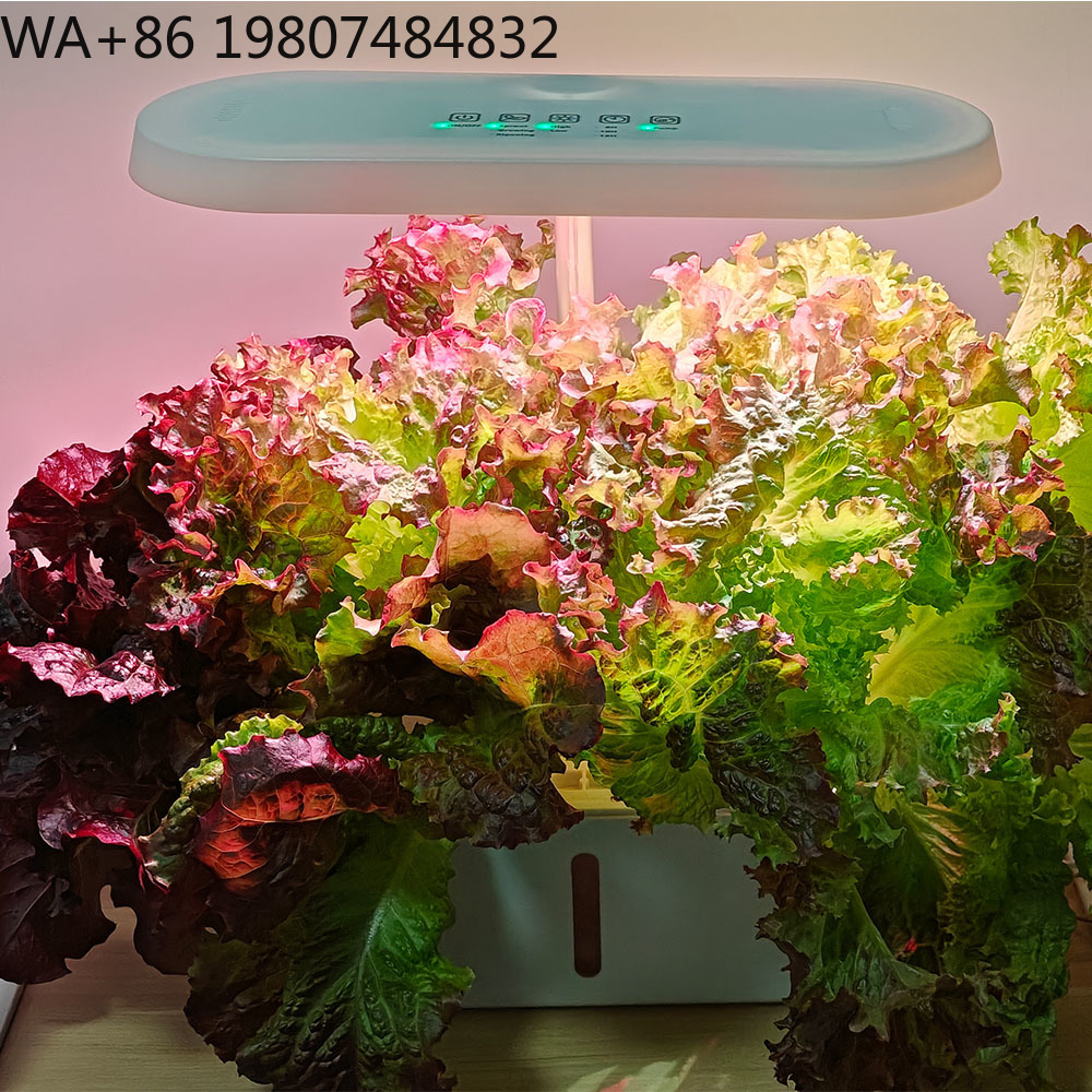 Kit de culture hydroponique in - Hydroponic Kit avis et prix