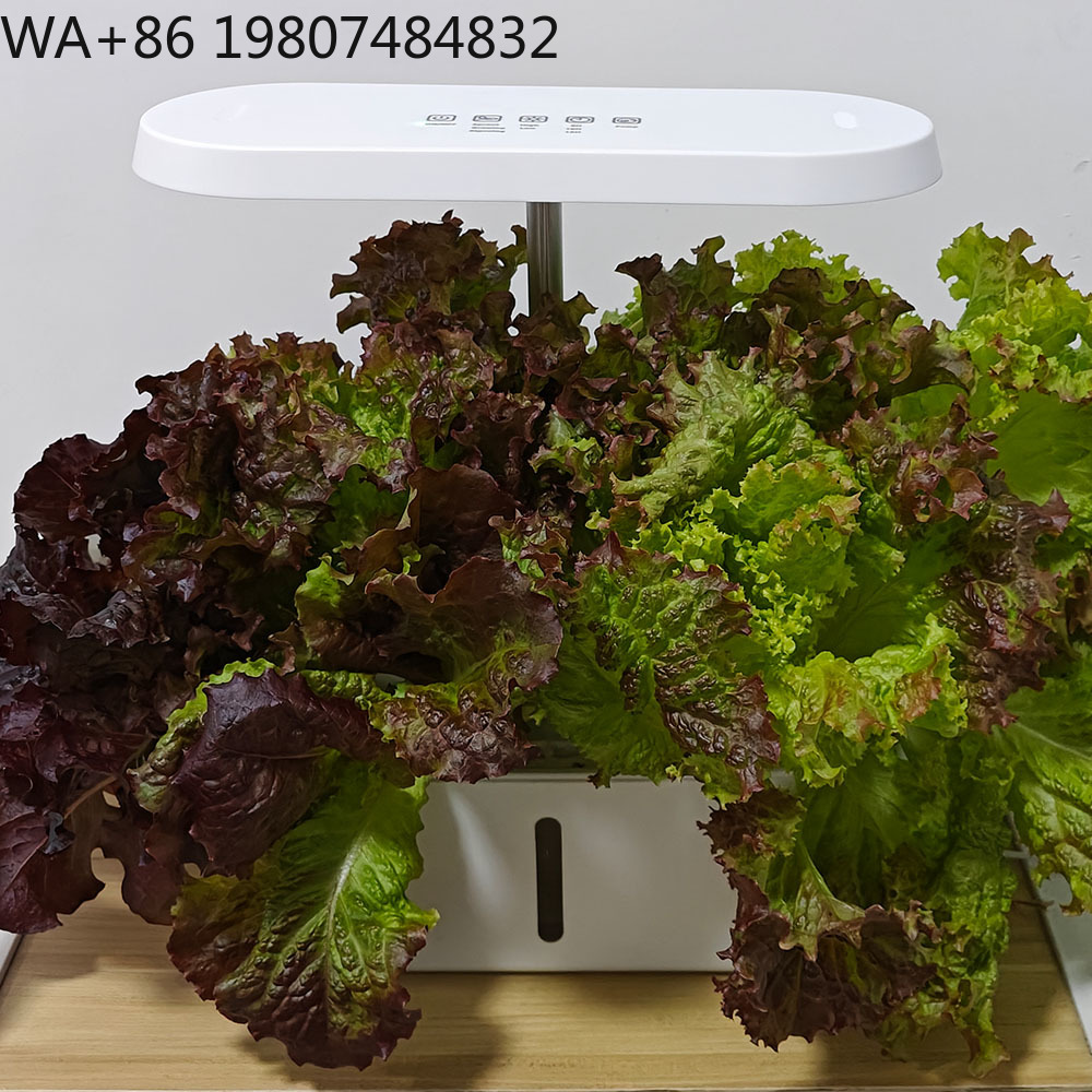 Kit de culture hydroponique in - Hydroponic Kit avis et prix
