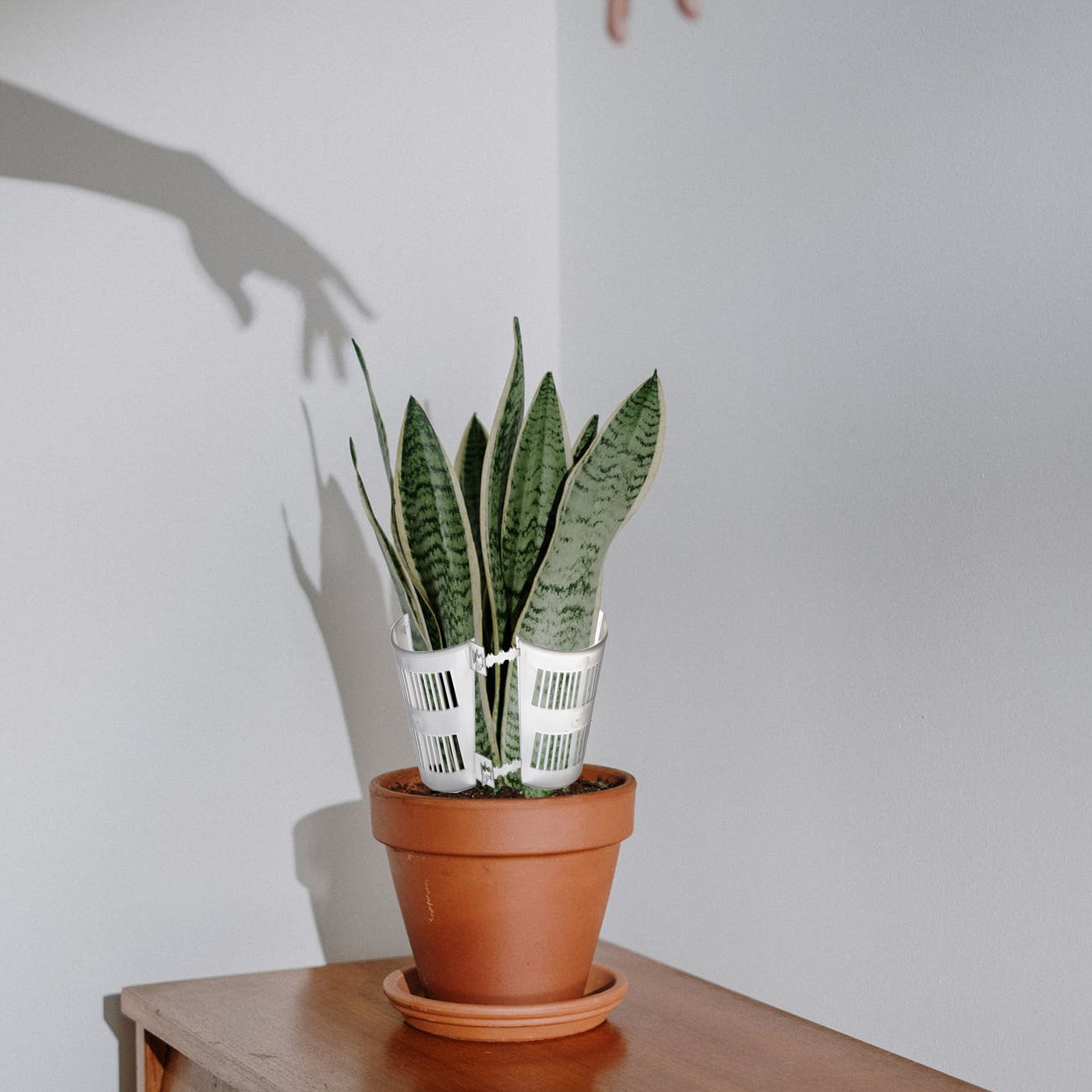 10 pots de culture pour plante - Plant Pot avis et prix