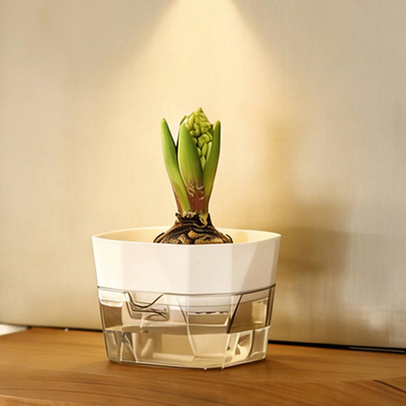 Vase hydroponique à 2 niveaux  - Plant Pot avis et prix