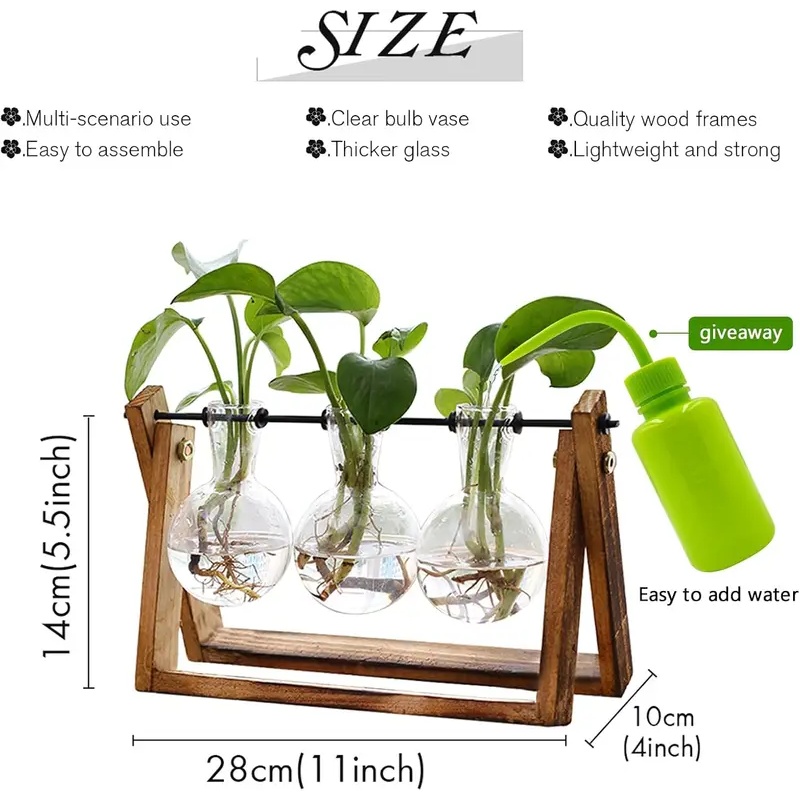 Kit de terrarium hydroponique  - Hydroponic Kit avis et prix
