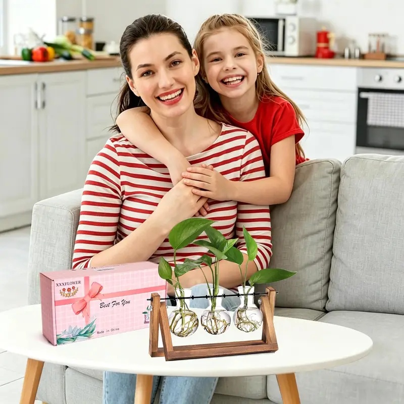 Kit de terrarium hydroponique  - Hydroponic Kit avis et prix