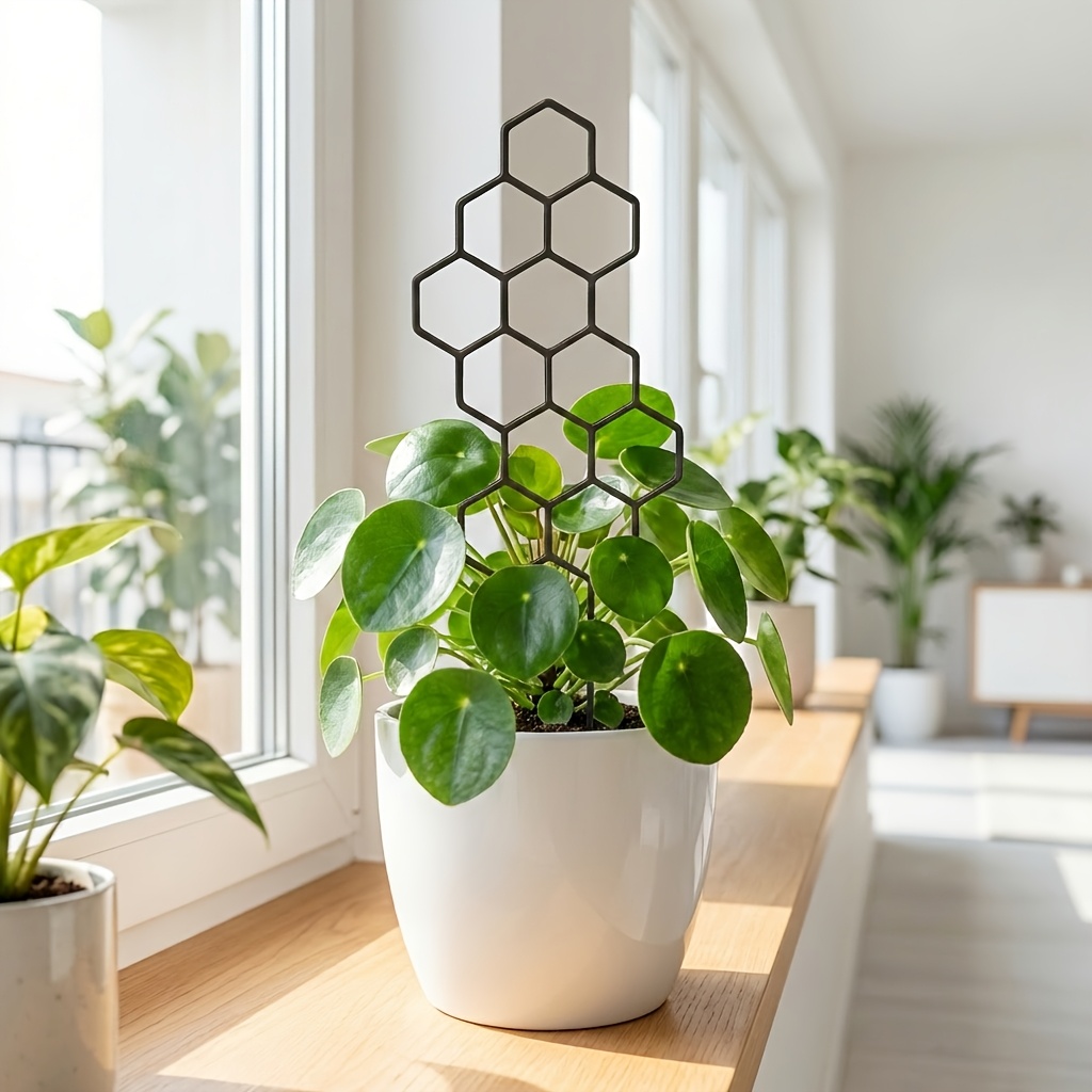 Treillis pour plantes d'intéri - Indoor Herb Garden avis et prix