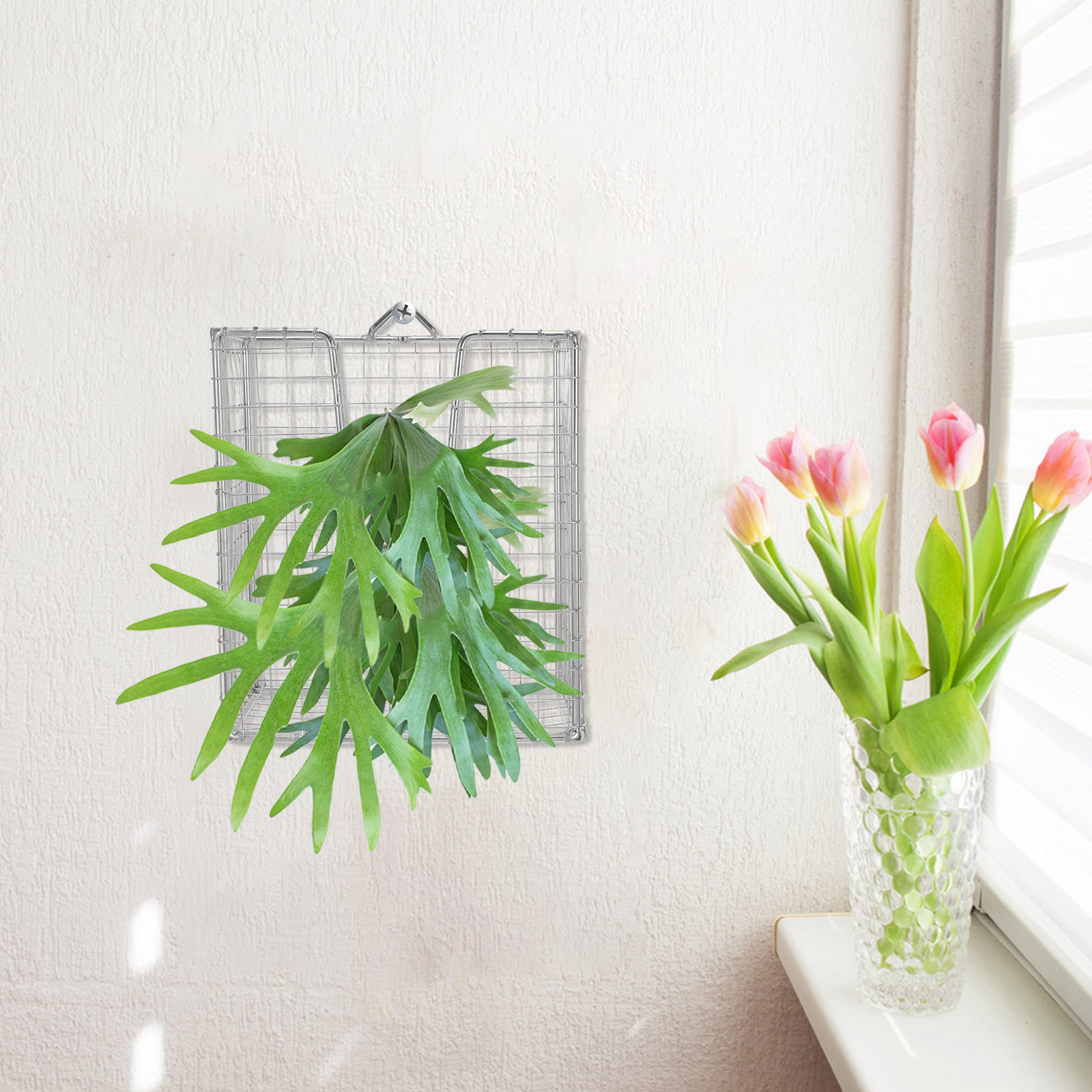 Panier à plantes mural en acie - Vertical Planter avis et prix