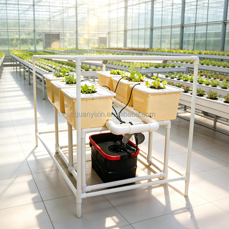 Kit de système hydroponique Du - Hydroponic Kit avis et prix