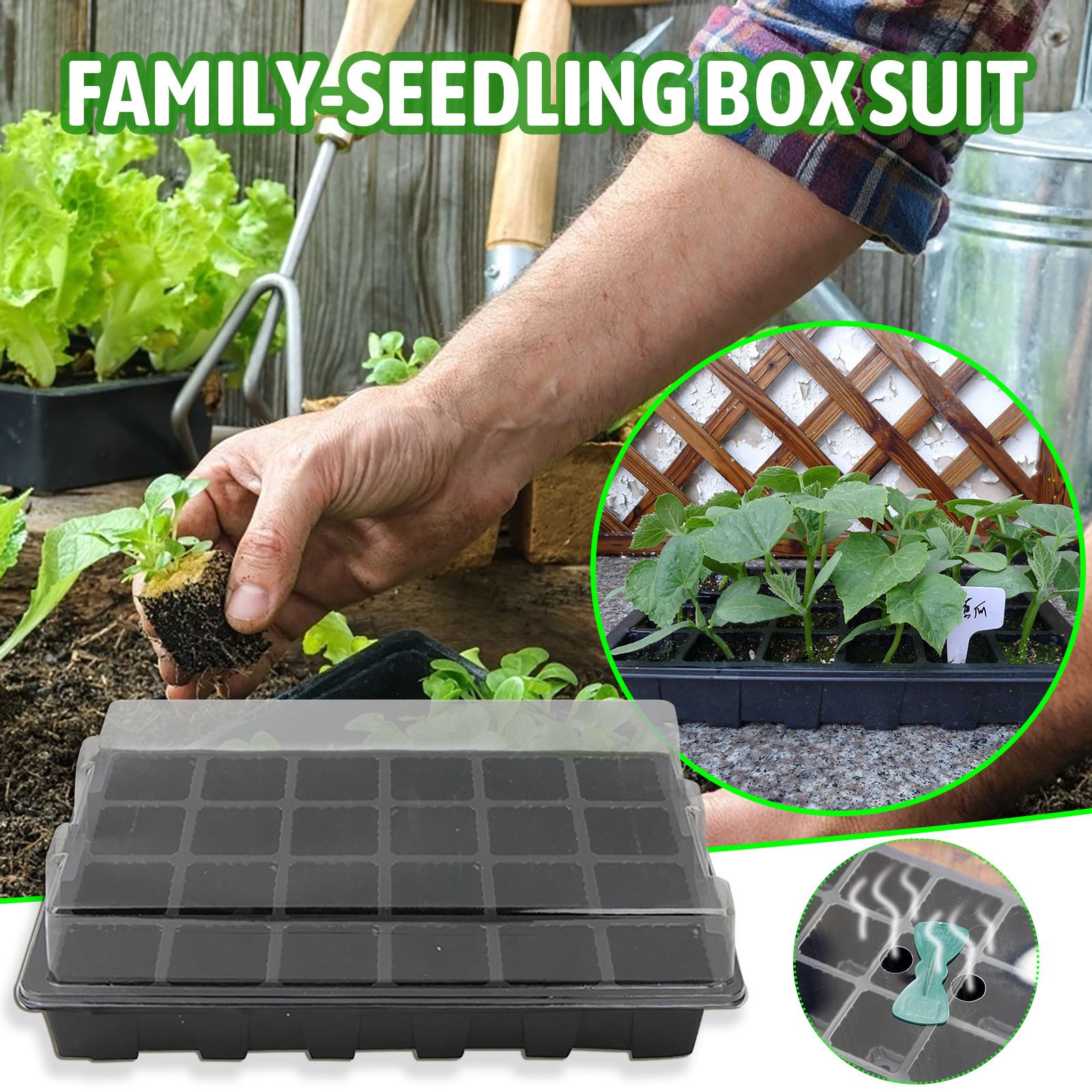 Boîte de Germination avec 2 Tr - Seed Starter Tray avis et prix