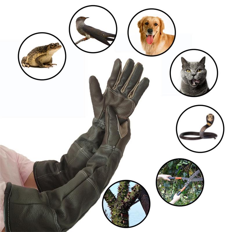 Gants pour animaux de compagni - Garden Gloves avis et prix
