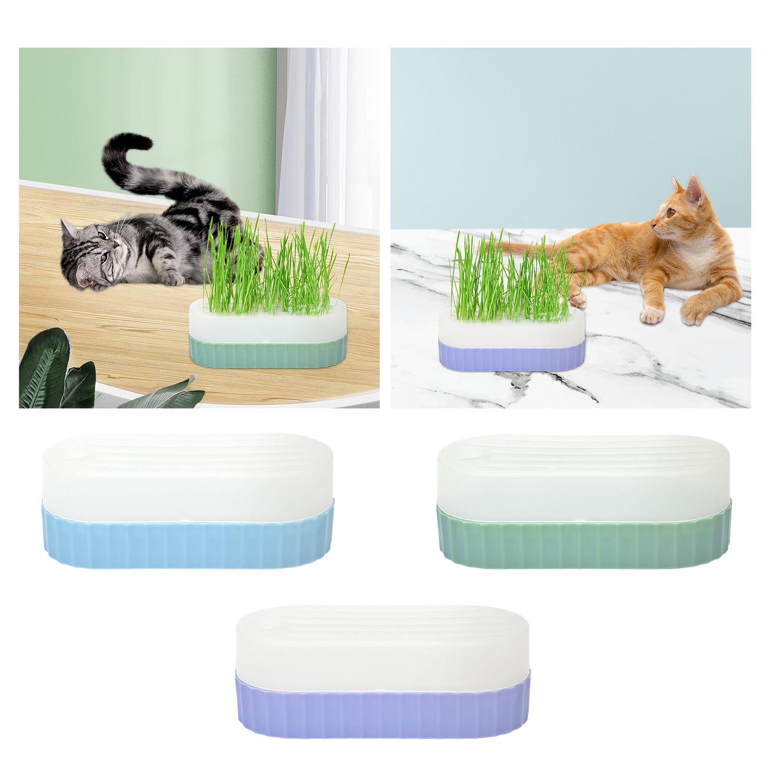 Plateau de germination pour se - Hydroponic Kit avis et prix