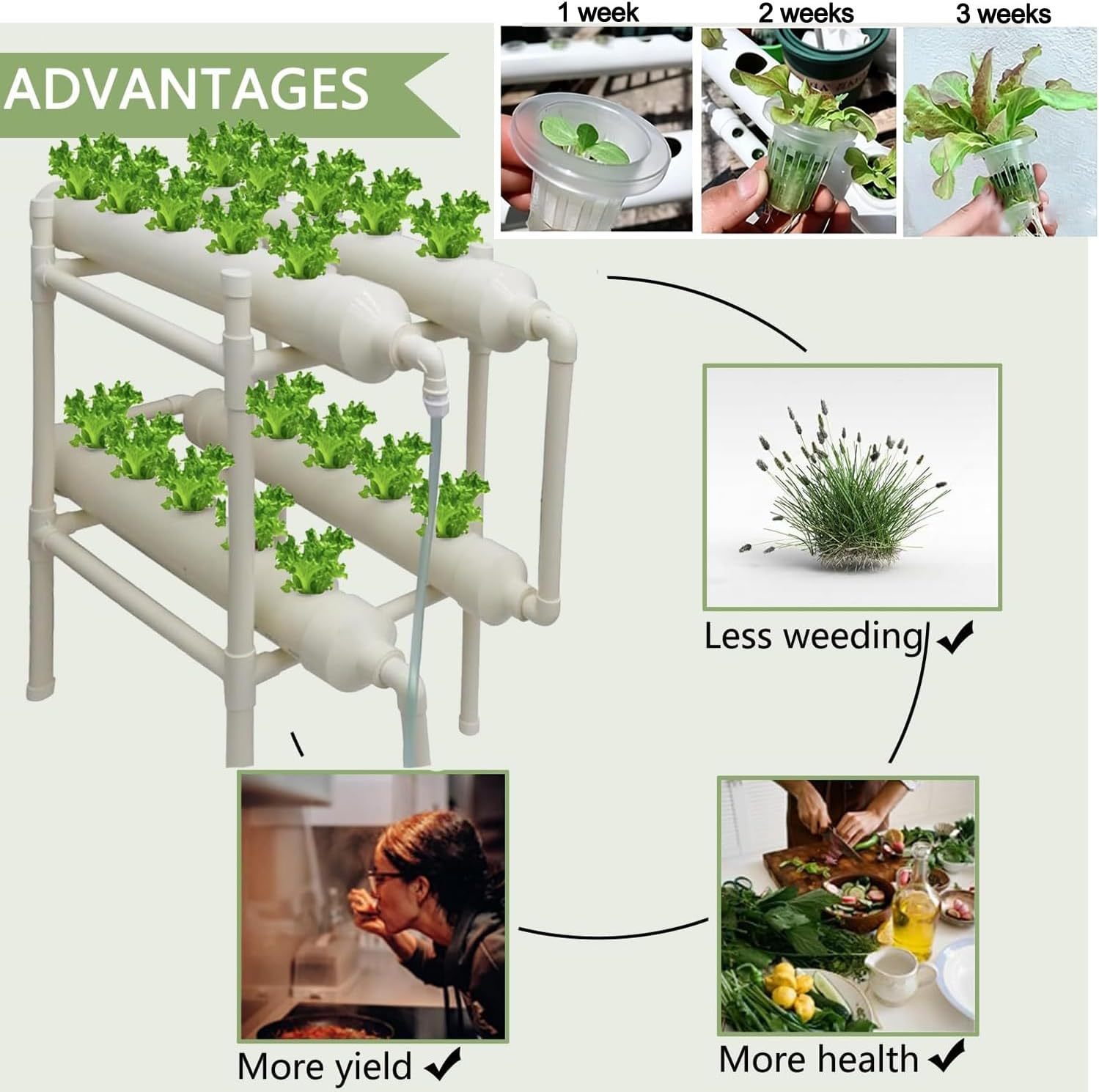 Système de culture hydroponiqu - Hydroponic Kit avis et prix