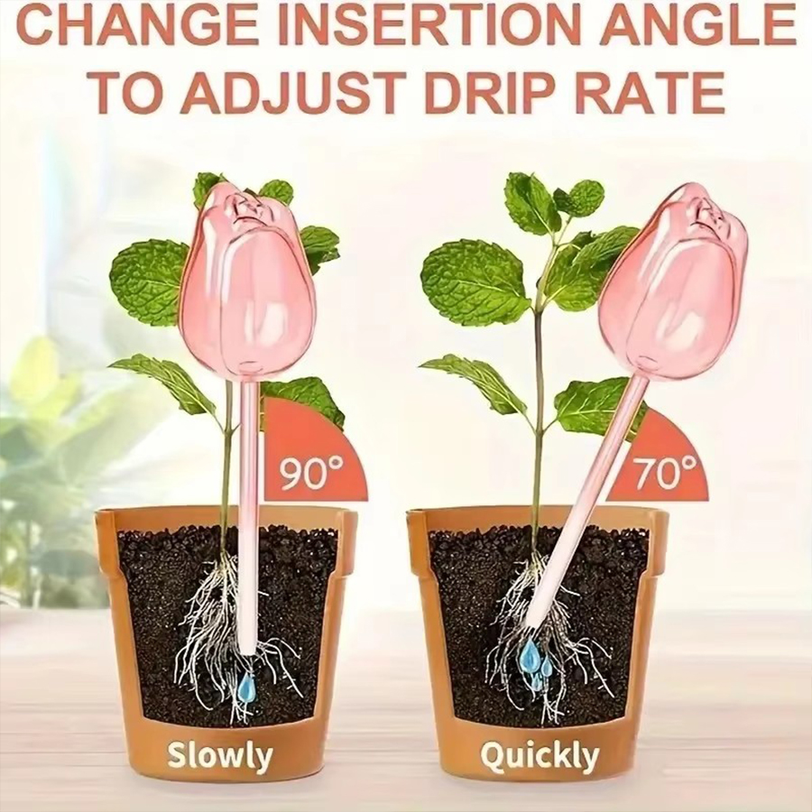 Pique d'arrosage transparente  - Self Watering Planter avis et prix