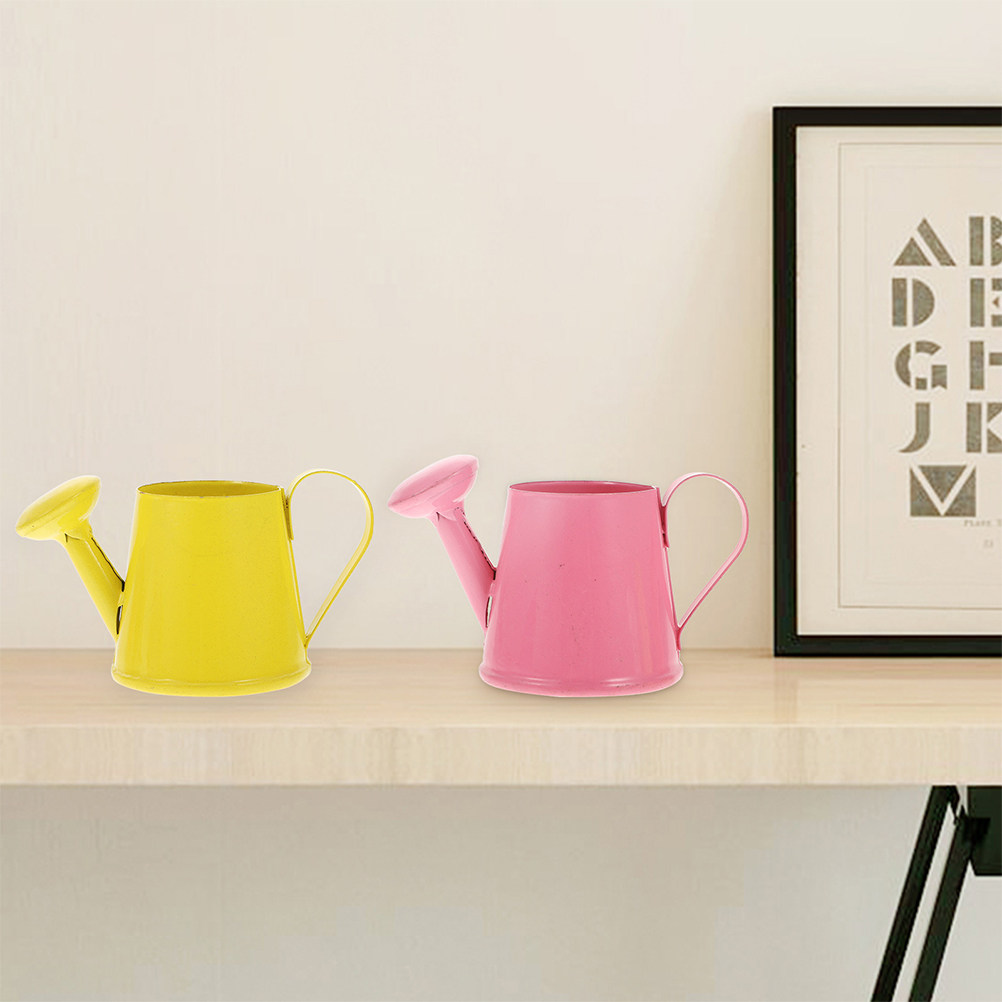 4 mini arrosoirs en métal, pet - Watering Can avis et prix