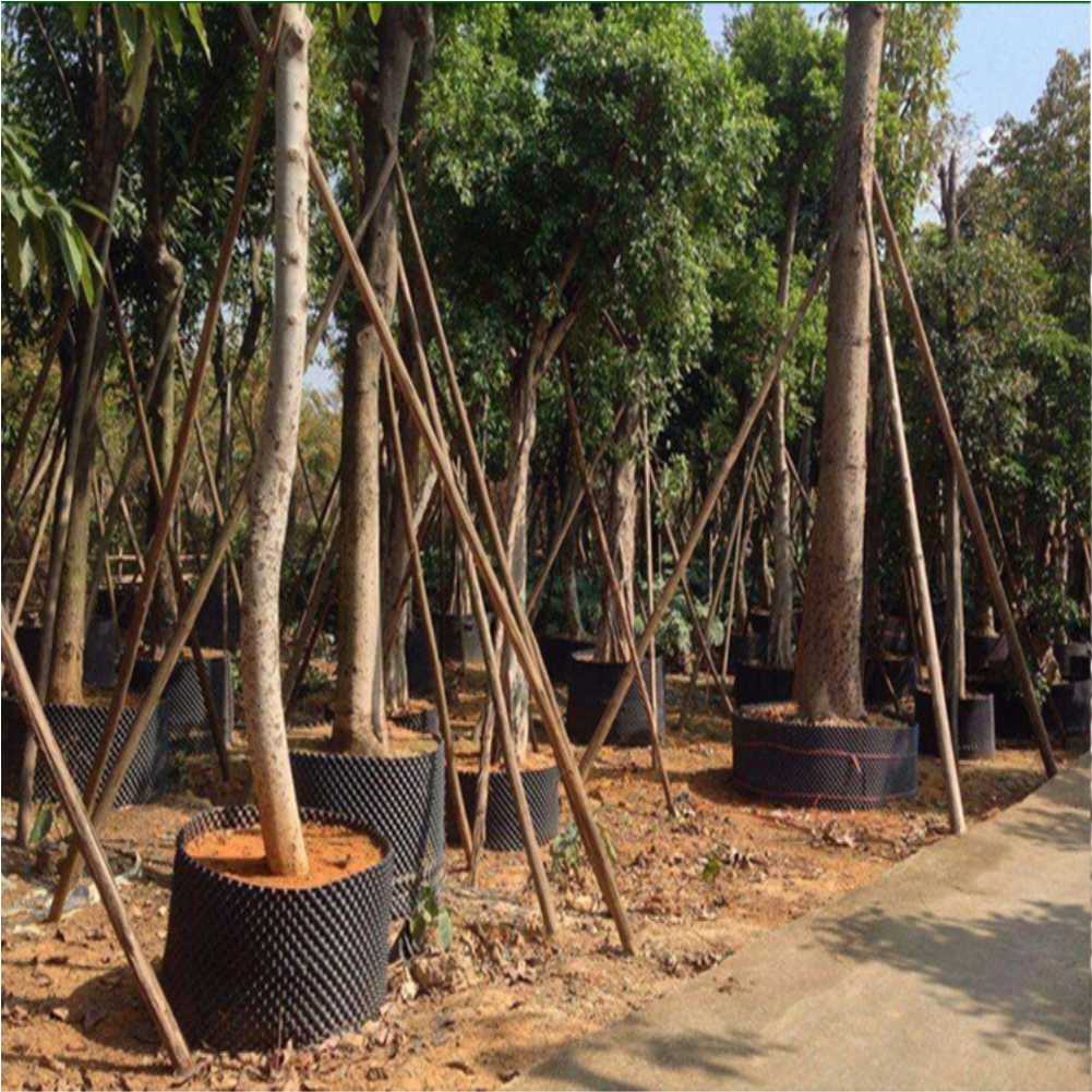 Outil de repiquage rapide pour - Plant Pot avis et prix