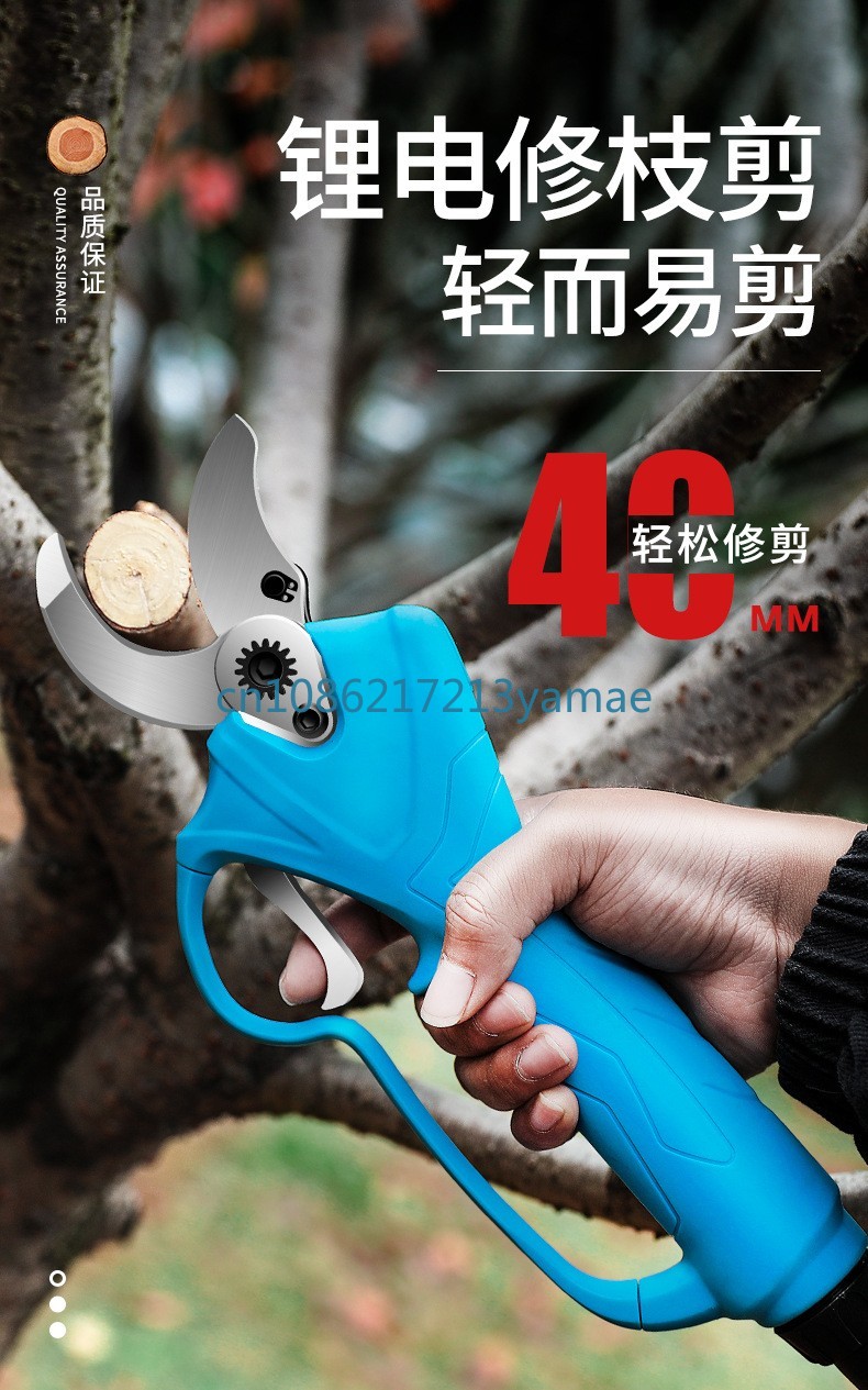 Sécateur électrique aste, batt - Pruning Shears avis et prix