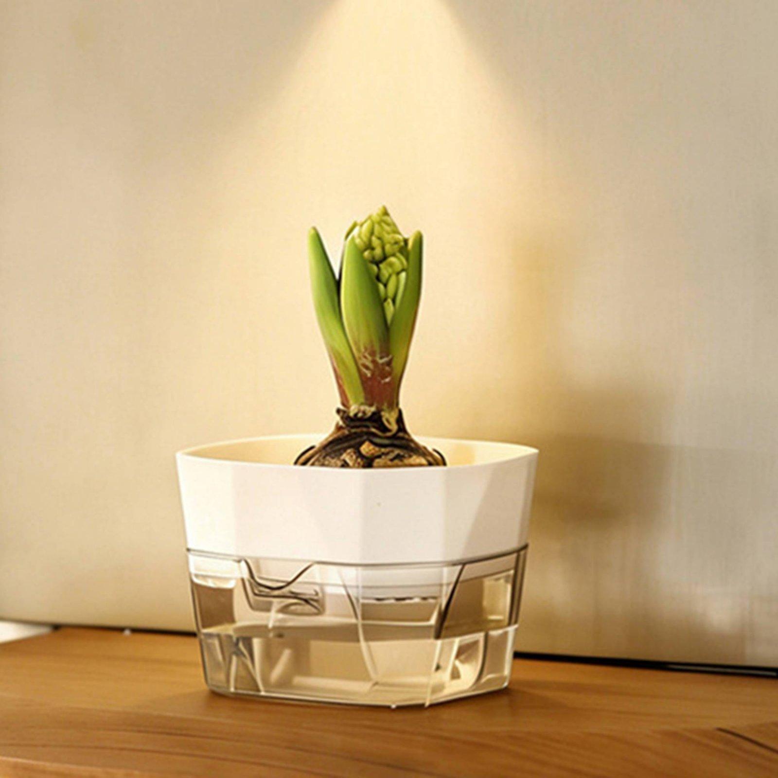 Vase hydroponique à deux nivea - Plant Pot avis et prix