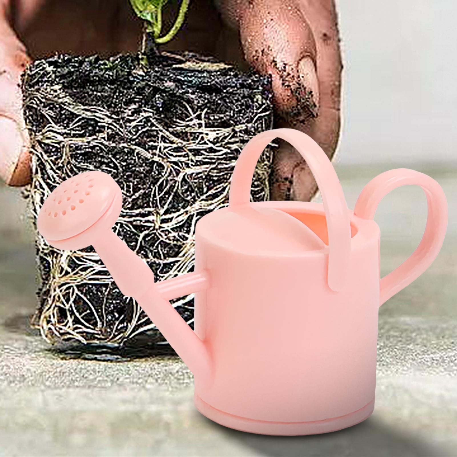 Mini arrosoir de jardinage mig - Watering Can avis et prix