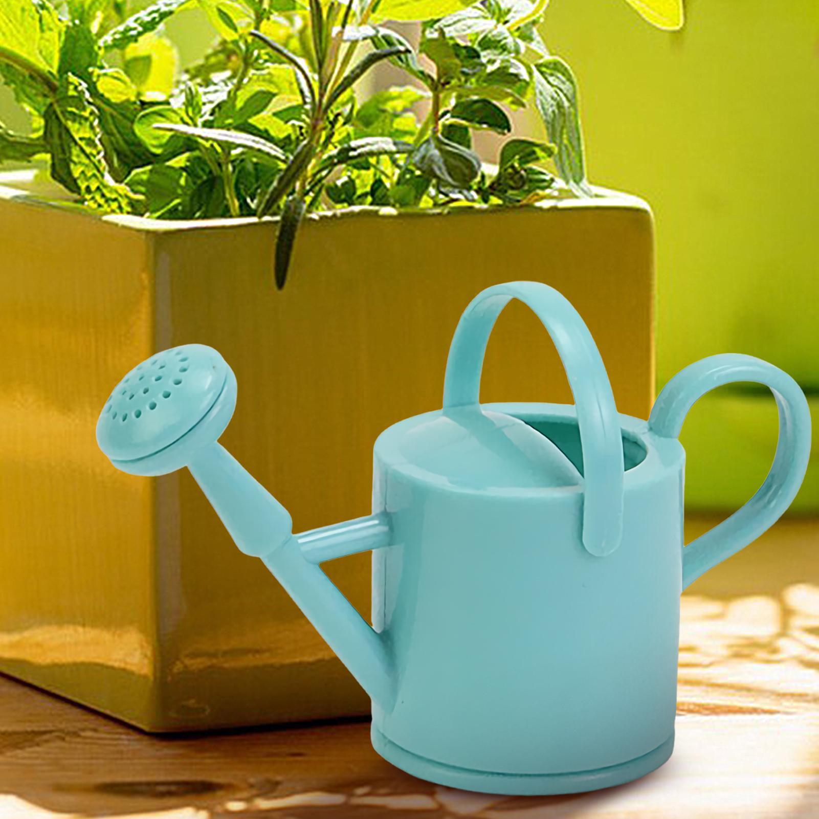 Mini arrosoir de jardinage mig - Watering Can avis et prix