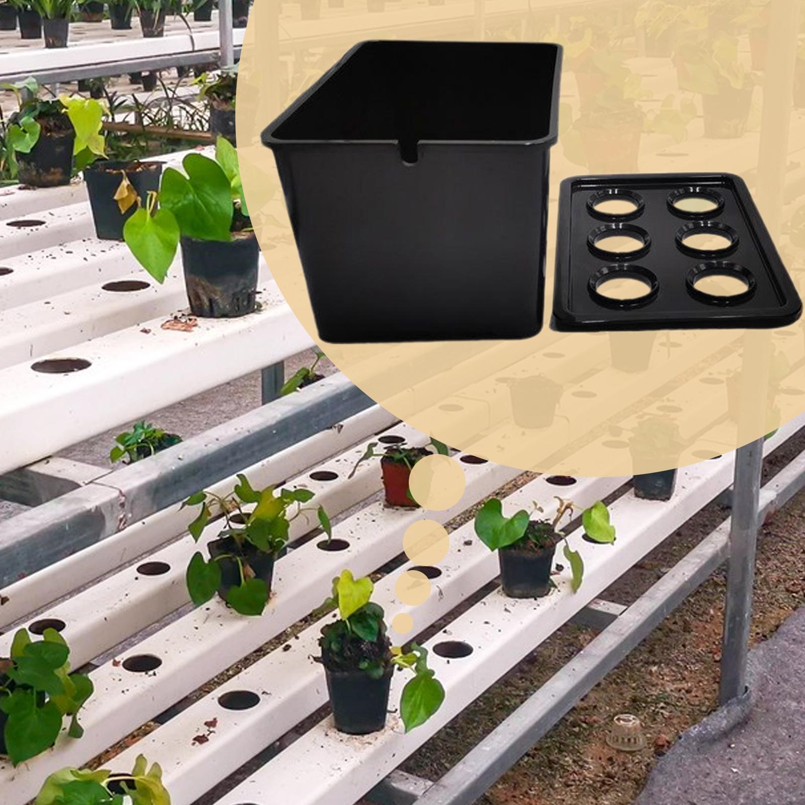 Kit de plantation hydroponique - Hydroponic Kit avis et prix