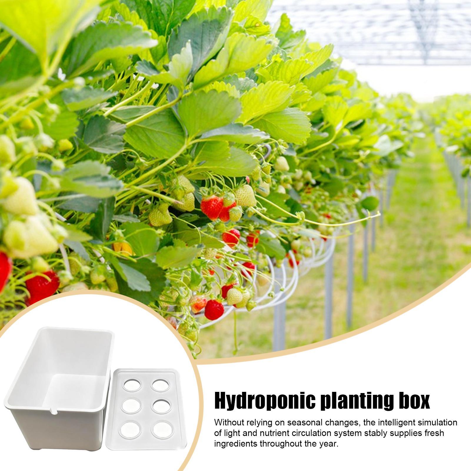 Kit de plantation hydroponique - Hydroponic Kit avis et prix