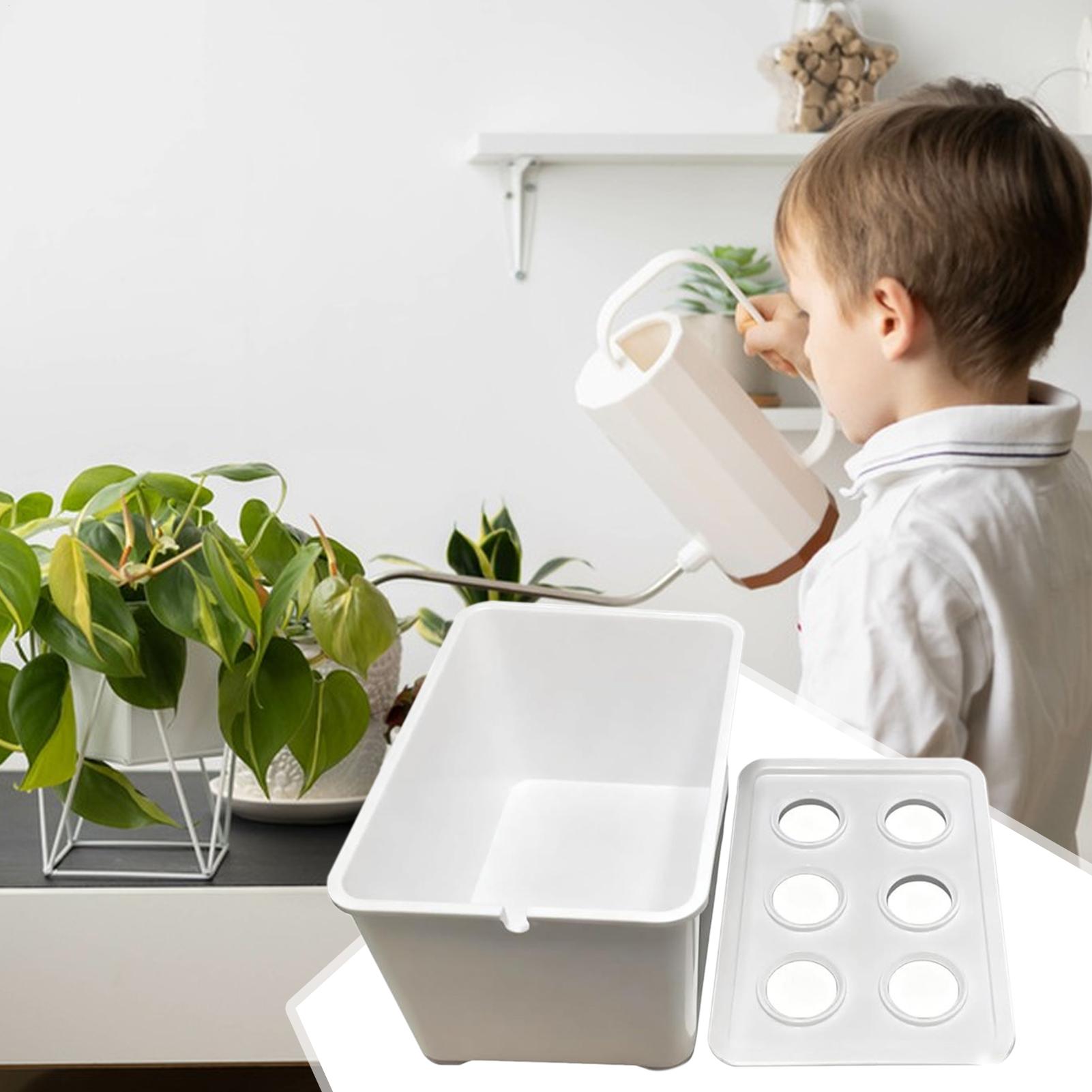 Kit de plantation hydroponique - Hydroponic Kit avis et prix