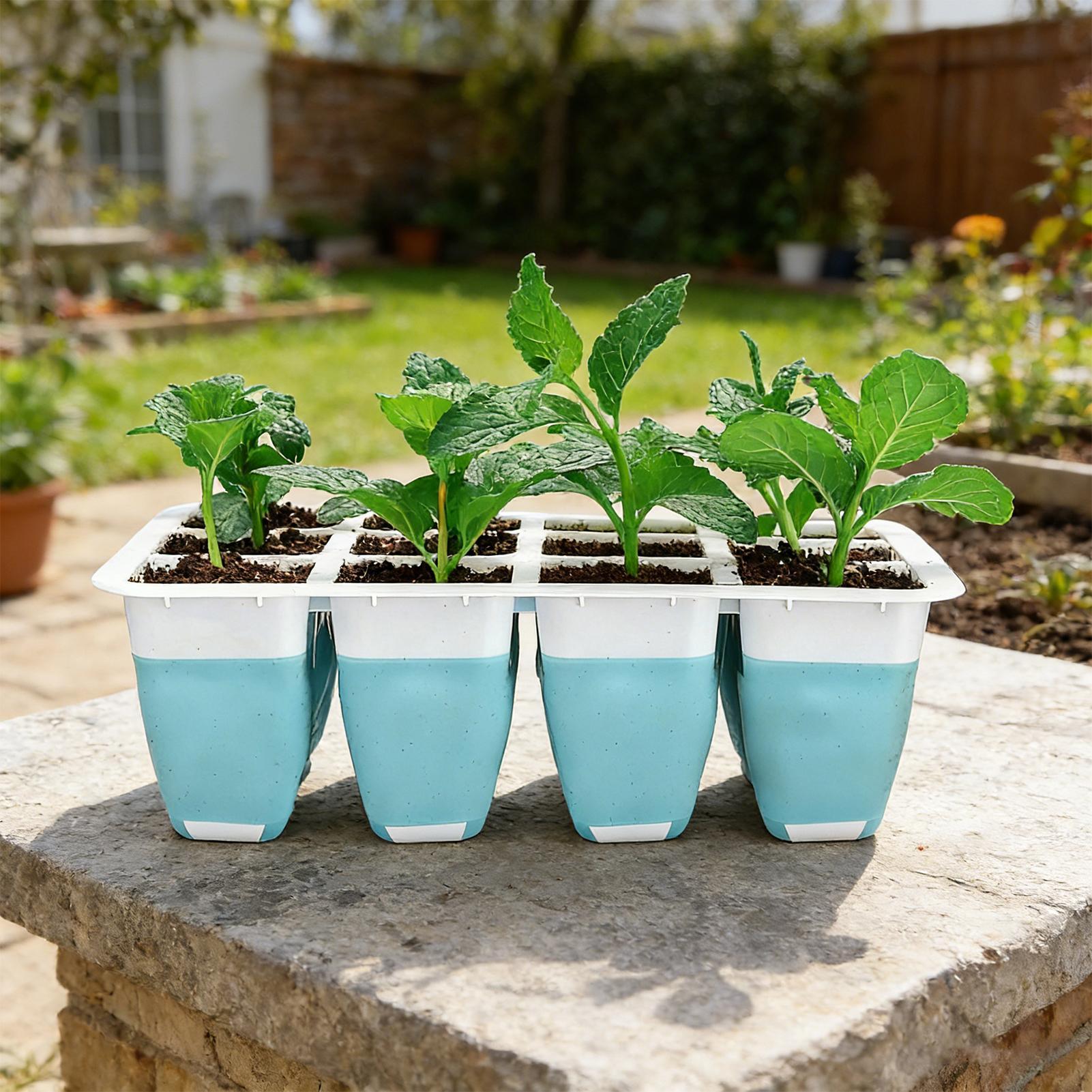 Lot de 5 plateaux de semis en  - Seed Starter Tray avis et prix